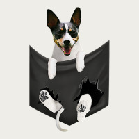 Rat Terrier Dog In Pocket, Rattie Puppy, Ratting Terrier T Shirt Zipper Hoodie | Teevron