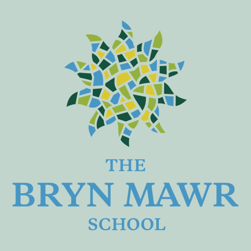 Bryn Mawr School Zipper Hoodie by linhVisuals | Teevron