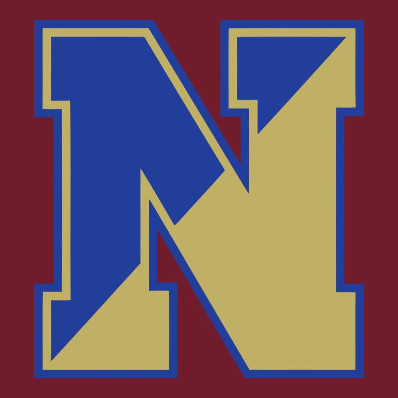 Norwell High School Zipper Hoodie by linhVisuals | Teevron
