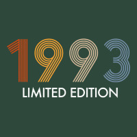 Retro 29 Years Vintage 1993 Limited Edition 29th Birthday T Shirt Zipper Hoodie | Teevron