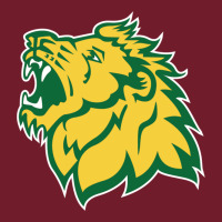 Missouri Southern, Mssu Lions Zipper Hoodie | Teevron