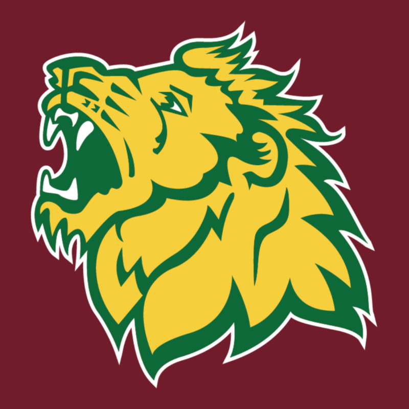 Missouri Southern, Mssu Lions Zipper Hoodie by linhVisuals | Teevron