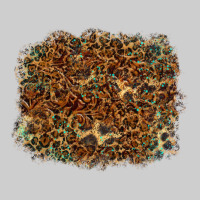 Leopard Leather Turquoise Background Premium Tee | Teevron