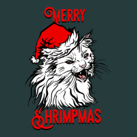 Merry Christmas Cat Premium Hoodie | Teevron