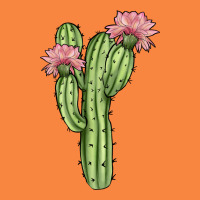 Cactus 4 Premium Sweatshirt | Teevron