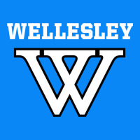 Wellesley Zipper Hoodie | Teevron