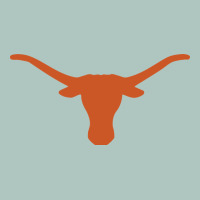 Texas Longhorns Premium Sweatshirt | Teevron