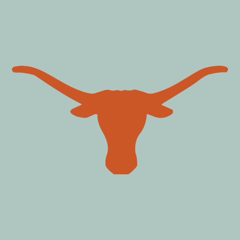 Texas Longhorns Premium Sweatshirt by DesignPulse | Teevron
