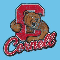 Cornell Premium Sweatshirt | Teevron