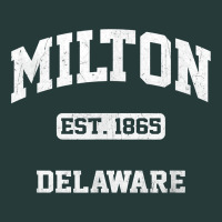 Milton Delaware De Vintage State Athletic Style T Shirt Premium Sweatshirt | Teevron