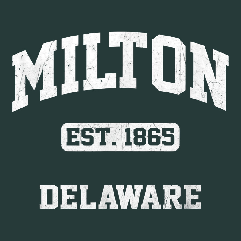 Milton Delaware De Vintage State Athletic Style T Shirt Premium Sweatshirt by InspiraDesign | Teevron