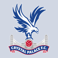 The-crystal-palace-f.c.-cool Premium Sweatshirt | Teevron