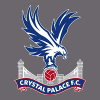 #crystal 'palace Premium Sweatshirt | Teevron