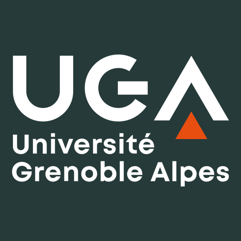 Université Grenoble Alpes Premium Sweatshirt by ArtChic | Teevron