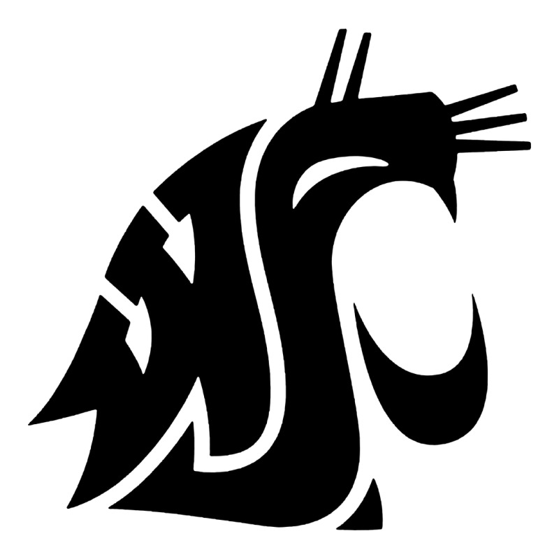 Washington State Cougars Football Premium Sweatshirt by StudioElite | Teevron