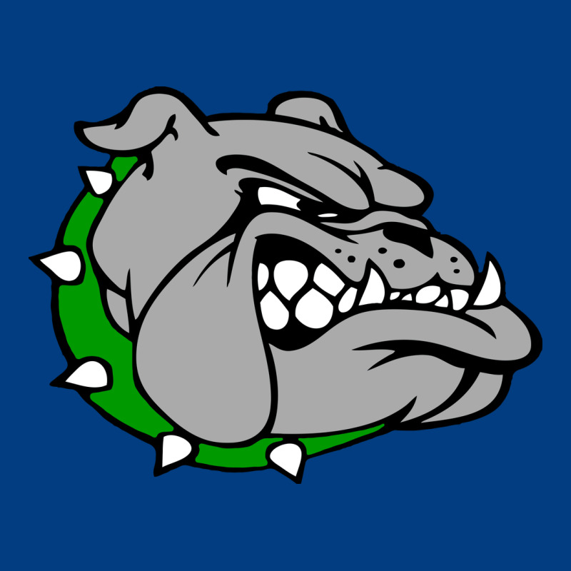 Ashville High School, Ashville Bulldogs Premium Sweatshirt by PixelFlow | Teevron
