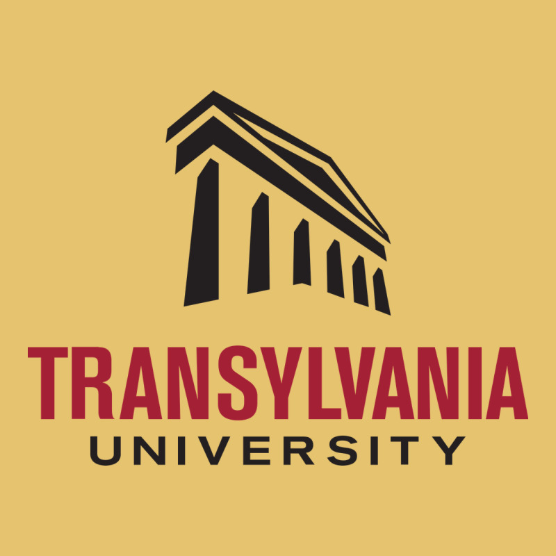 Transylvania University Premium Sweatshirt by PixelFlow | Teevron