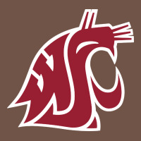 Washington State Cougars Premium Sweatshirt | Teevron