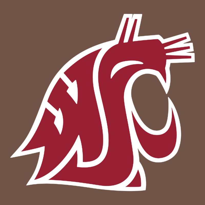 Washington State Cougars Premium Sweatshirt by PixelFlow | Teevron