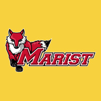Cool,marist,red,foxes Premium Sweatshirt | Teevron