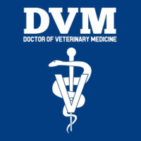 Doctor Of Veterinary Medicine Dvm Veterinarian Vet Tech Premium Sweatshirt | Teevron