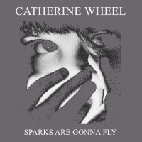 Catherine Wheel, Catherine Wheel Art, Catherine Wheel Vintage, Catheri Premium Sweatshirt | Teevron