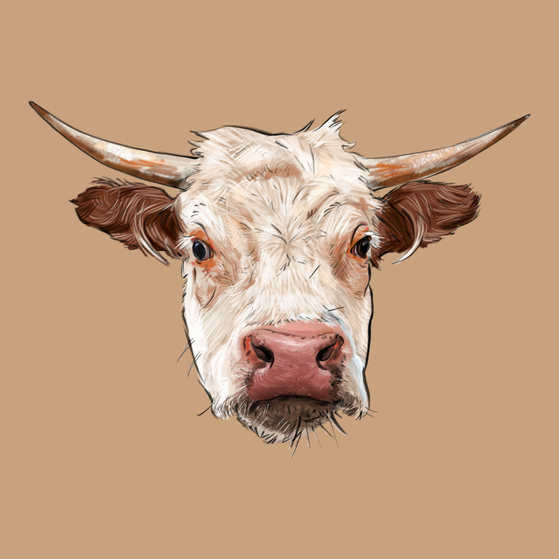 Hereford Cow Head Vintage Tee by RanaPortraitStore | Teevron