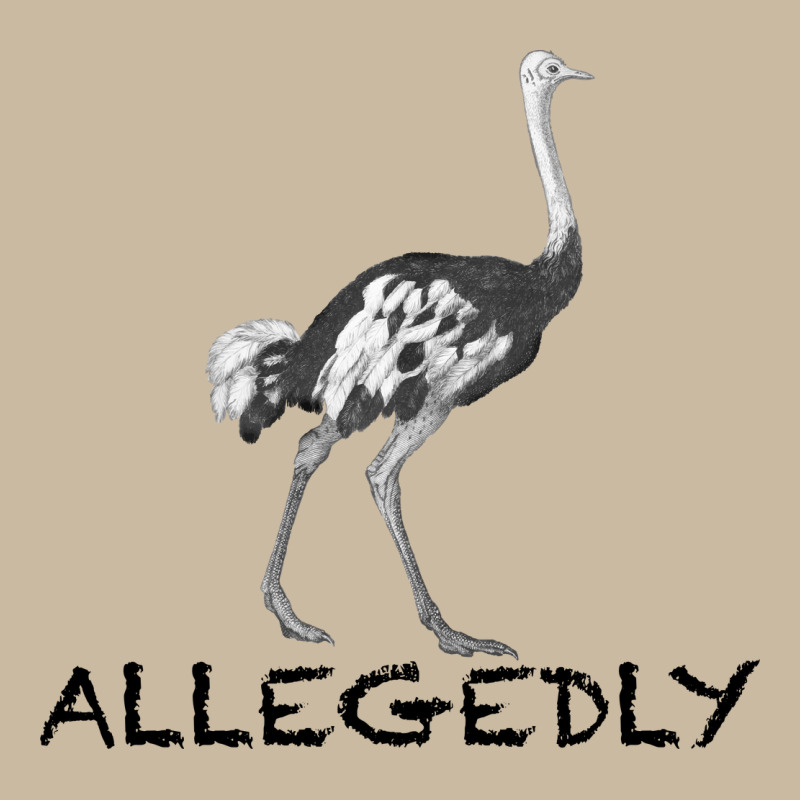 Allegedly Long Sleeve Tee by Bettercallsaul | Teevron