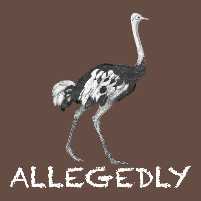 Allegedly Long Sleeve Tee by Bettercallsaul | Teevron