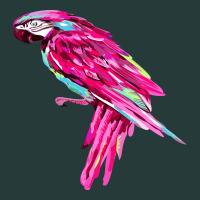Pink Parrot T-shirts Premium Sweatshirt | Teevron