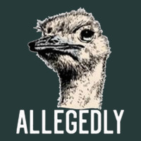 Letterkenny Allegedly Ostrich Funny Premium Sweatshirt | Teevron