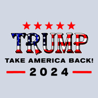 Donald Trump 2024 Take America Back Election Premium Sweatshirt | Teevron
