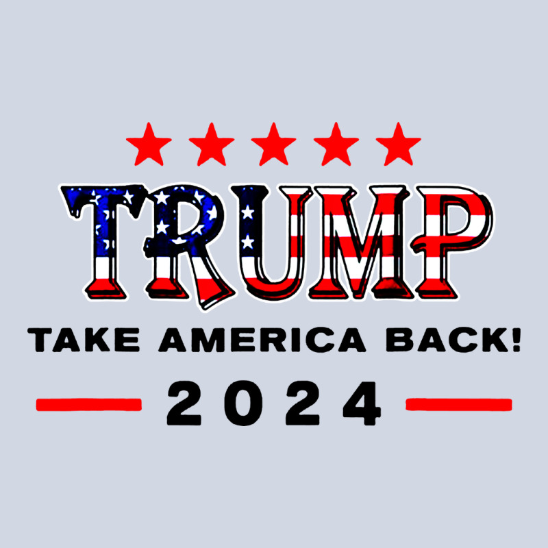 Donald Trump 2024 Take America Back Election Premium Sweatshirt by artisFamous | Teevron