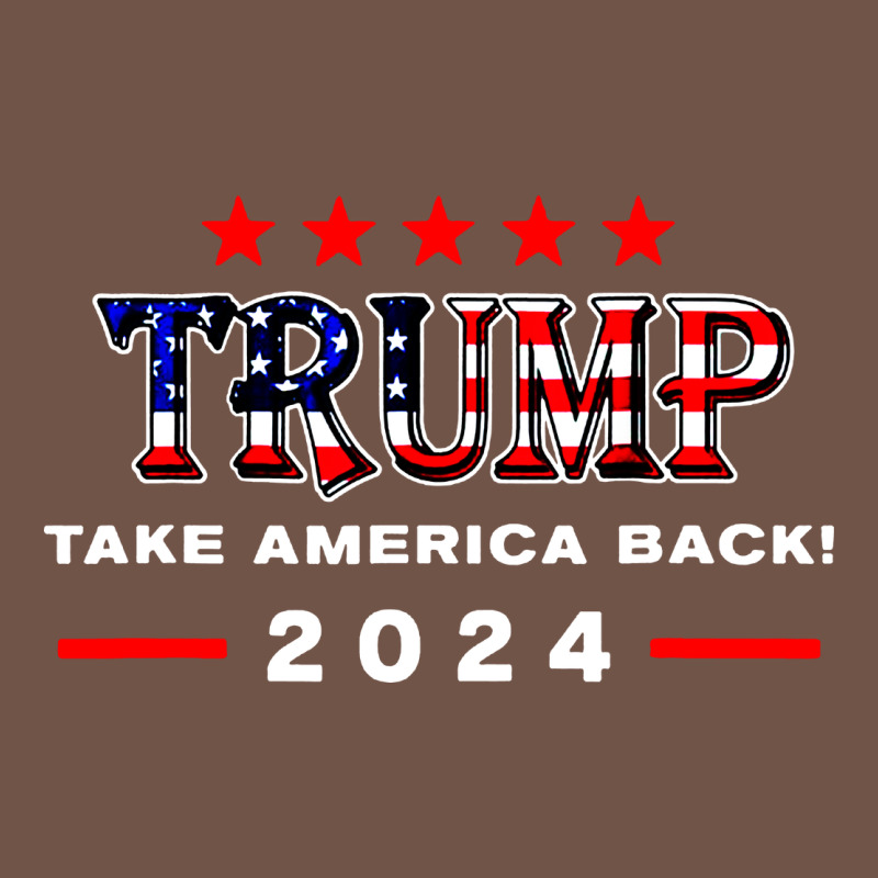 Donald Trump 2024 Take America Back Election Premium Sweatshirt by artisFamous | Teevron