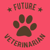 Future Veterinarian Premium Sweatshirt | Teevron