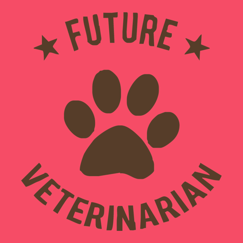 Future Veterinarian Premium Sweatshirt by artisFamous | Teevron