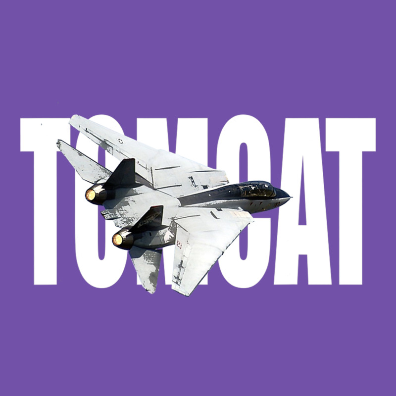 F 14 Tomcat F14 Navy Jet Fighter Plane Tshirt Pilot T Shirt Premium Sweatshirt by artisFamous | Teevron