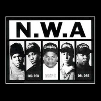 N.w.a Californian Hip Hop Group N.w.a Premium Sweatshirt | Teevron