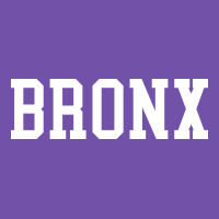 Bronx Premium Sweatshirt | Teevron