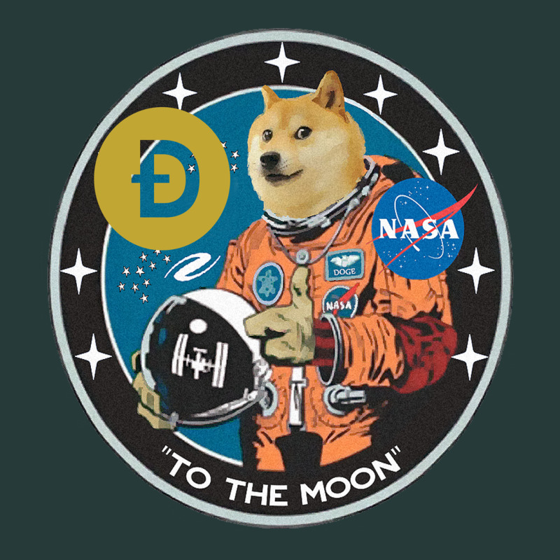 Doge Premium Sweatshirt by artisFamous | Teevron