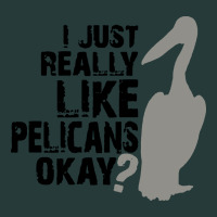 I Just Really Like Pelicans Okay Premium Sweatshirt | Teevron