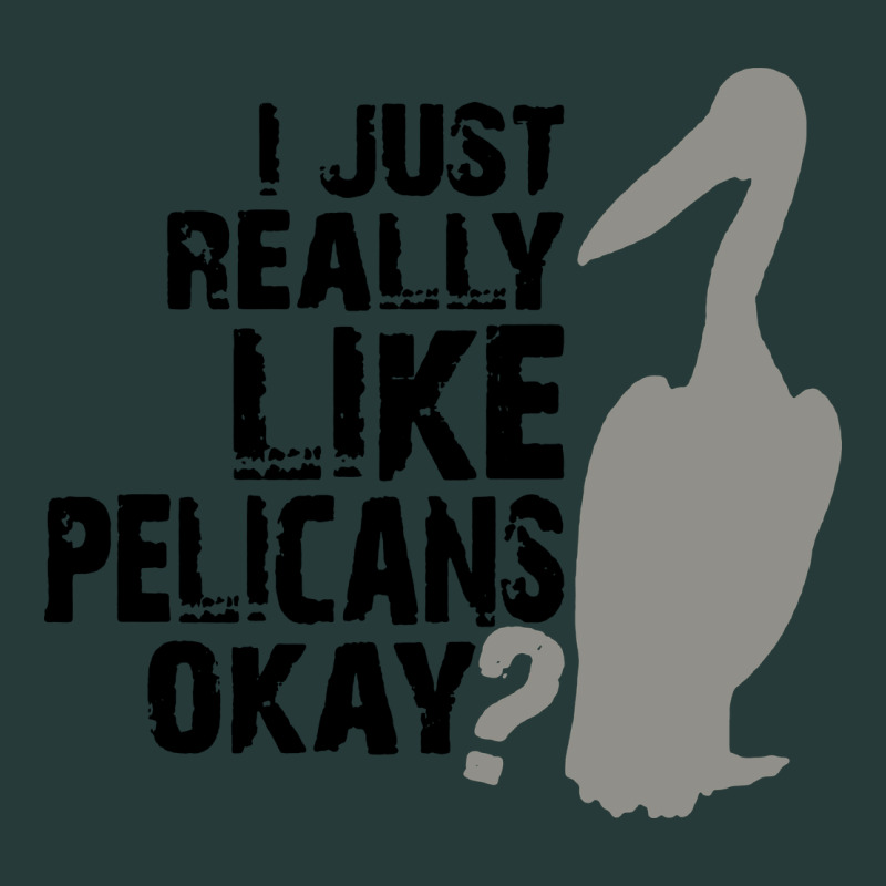 I Just Really Like Pelicans Okay Premium Sweatshirt by artisFamous | Teevron