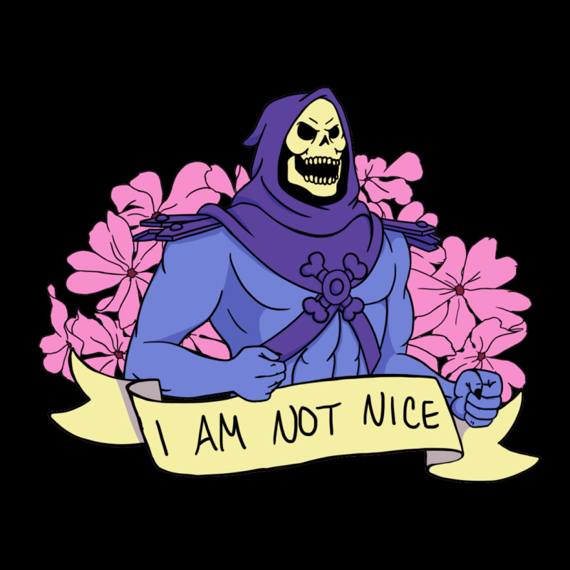 Vintage Skeletor ı Am Not Nice Premium Sweatshirt by artisFamous | Teevron