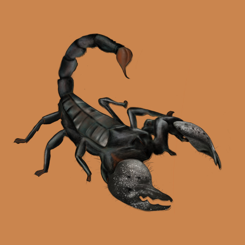 Scorpion Heavyweight Hoodie by JahusDesignShop | Teevron