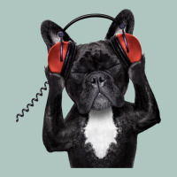 French Bulldog Dj Style Premium Sweatshirt | Teevron