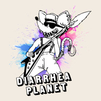 Diarrhea Planet Musician Premium Sweatshirt | Teevron
