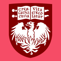 College Of Chicago Premium Sweatshirt | Teevron
