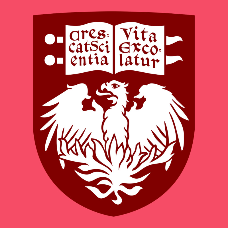 College Of Chicago Premium Sweatshirt by artisFamous | Teevron
