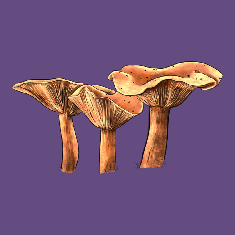 Lactarius Rufus Mushroom Illustrations Vintage Hoodie by LillyAllenDesigns | Teevron