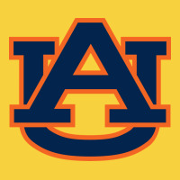 Auburn Tigers Premium Sweatshirt | Teevron